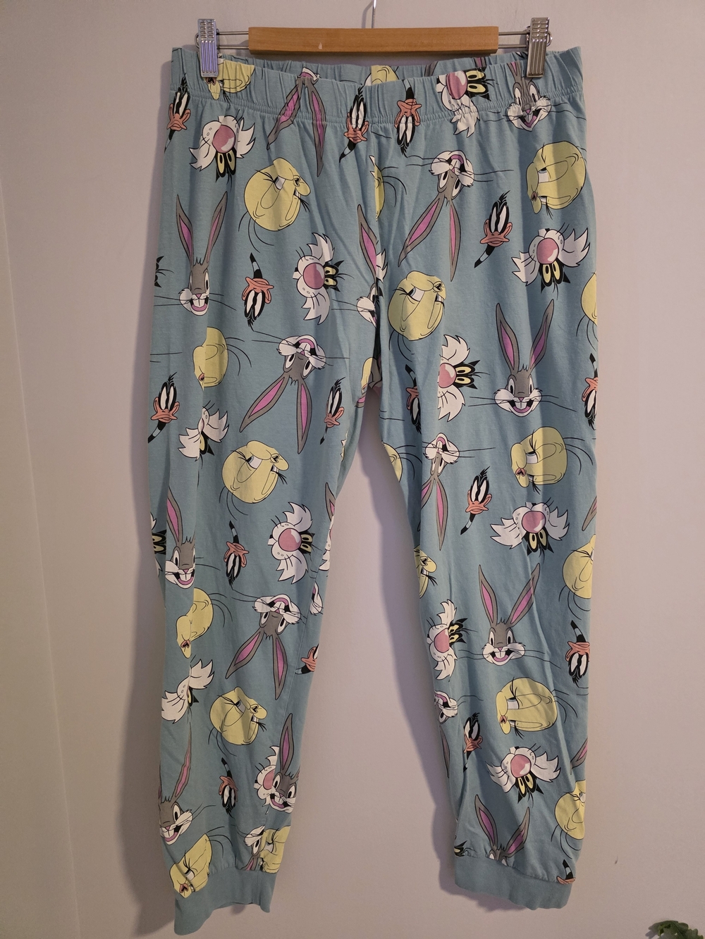 Warner Bros. Light Blue Looney Tunes Character Pajama Pants